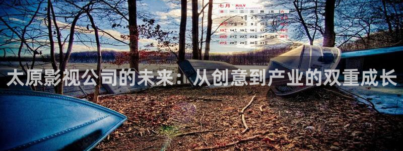 神马私人影院98影院：太原影视公司的未来：从创意到产业的双重成长