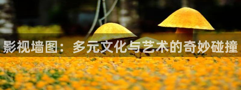 98k在线观看影院：影视墙图：多元文化与艺术的奇妙碰撞
