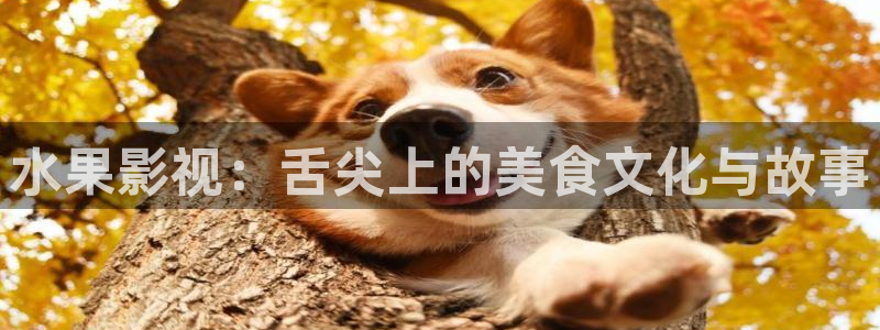 超碰免费在线观看98：水果影视：舌尖上的美食文化与故事