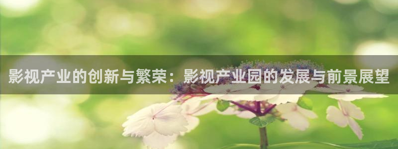 汤姆影院www tom998cc：影视产业的创新与繁荣：影视产业园的发展与前景展望