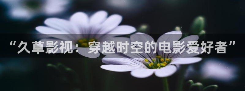 980影院电视剧免费观看完整版：“久草影视：穿越时空的电影爱好者”