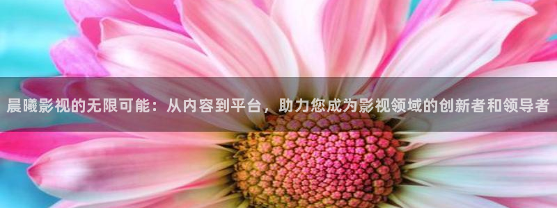 请回答1988粤语在线观看：晨曦影视的无限可能：从内容到平台，助力您成为影视领域的创新者和领导者